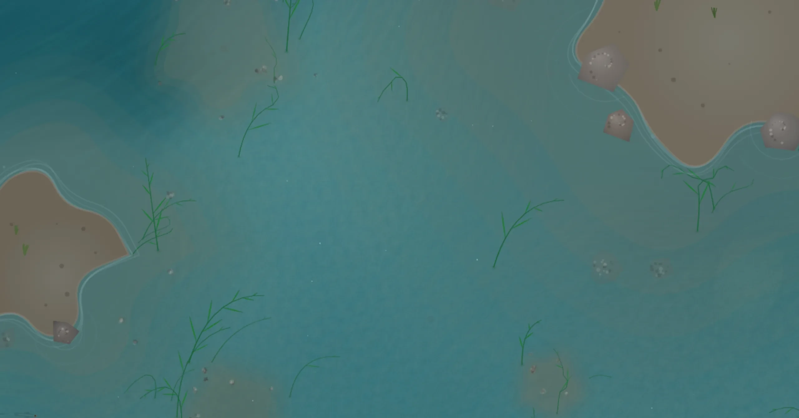 Close-up of reef rocks, seaweed, and the subtle sand ripple texture between two reef formations