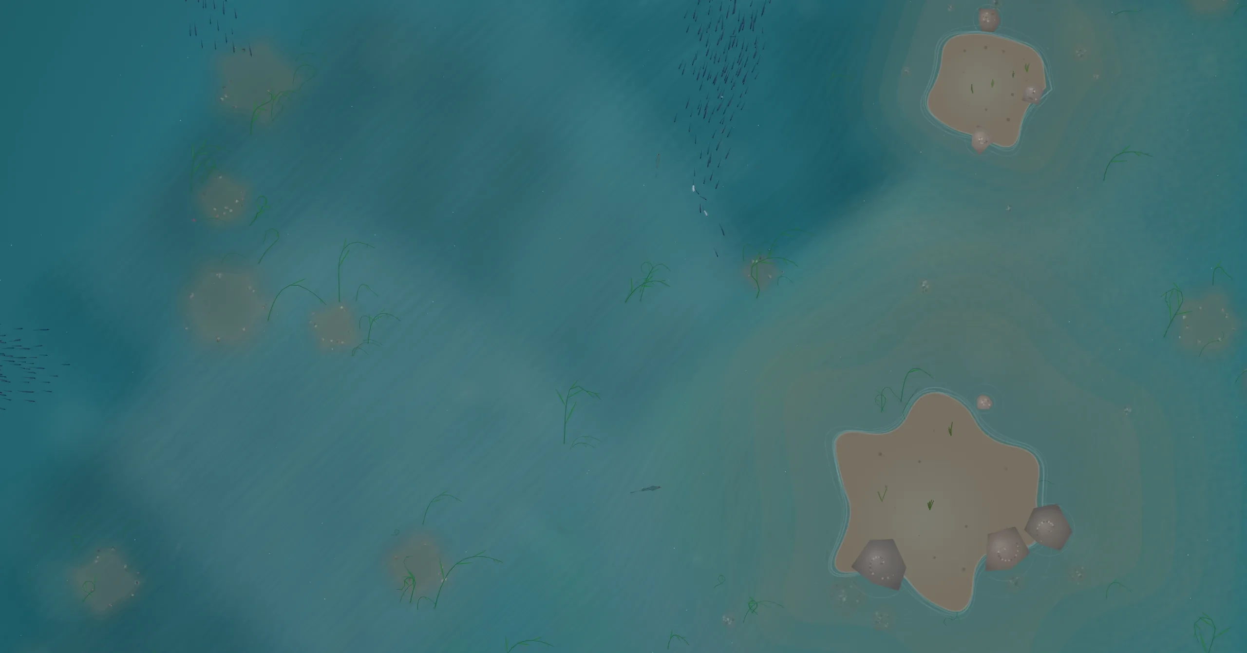 A school of fish near the reef as a wave washes through the scene