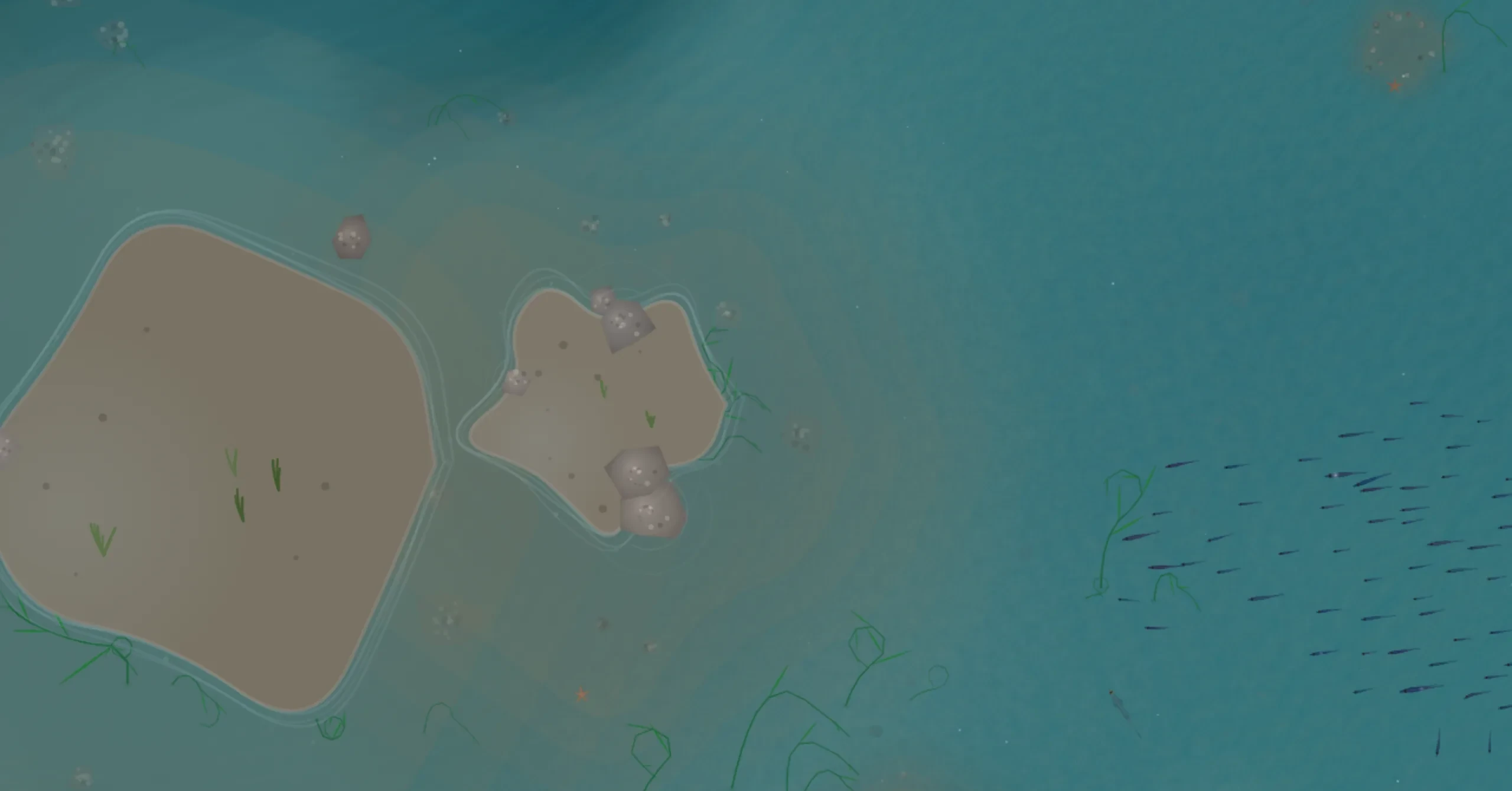 Reef rocks up close - textured crowns, wave lines wrapping around obstacles, a fish school at the edge